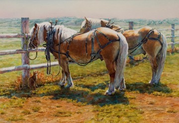  horses Oil Painting - west america indiana 77 horses